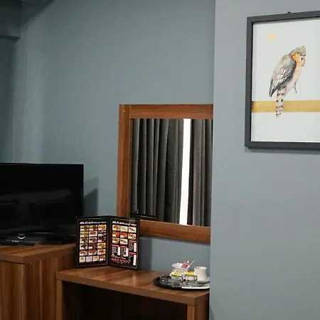 Hotel Ottoman Airport