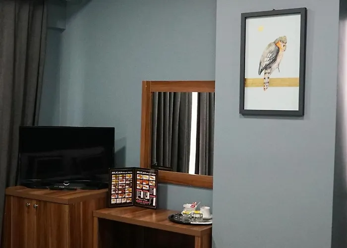 호텔 Ottoman Airport